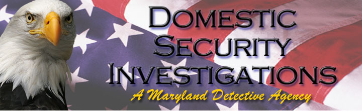 Logo: Domestic Security Investigations (DSI)